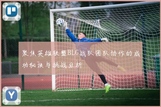 聚焦英雄联盟BLG战队团队协作的成功秘诀与挑战分析