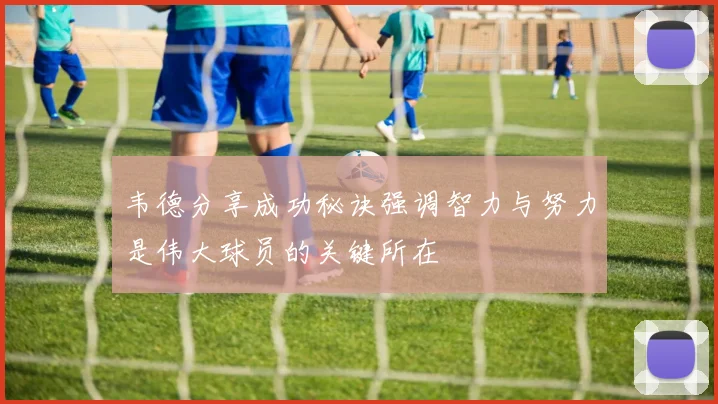 韦德分享成功秘诀强调智力与努力是伟大球员的关键所在