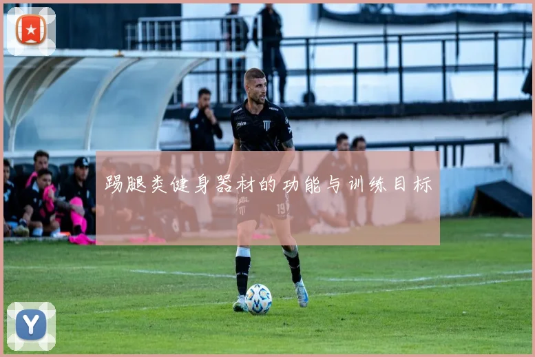 踢腿类健身器材的功能与训练目标